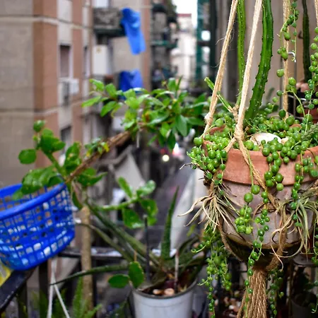 B&B Bed-letto-cama In Shared Condivisa 나폴리